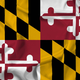 Illustration for article titled The Symbols And Stories Behind 8 State Flags